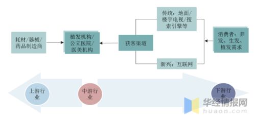 植发养发行业市场发展现状及竞争格局分析,脱发人群年轻化 图