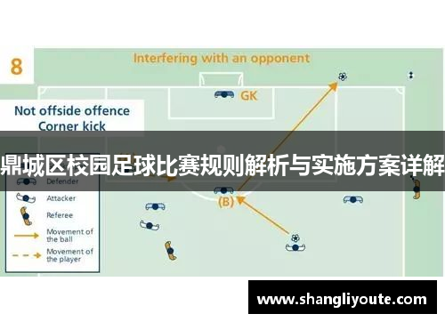 鼎城区校园足球比赛规则解析与实施方案详解